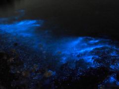 -小黑石海滨浴场·停车场