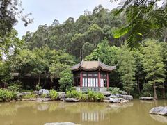 -顺峰山公园