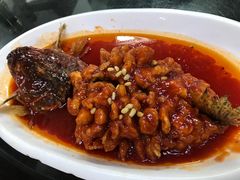 松鼠桂鱼-协和菜馆(凤凰街店)