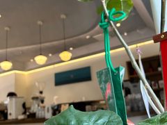 -fishtank鱼缸咖啡(三山街店)