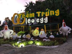 -100蛋泥浆浴