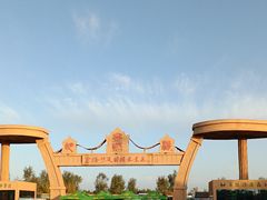 -金塔沙漠胡杨林景区