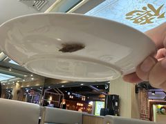 -顺德公猪肚鸡·椰子鸡(惠东天虹店)