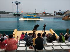 -秦皇岛乐岛海洋王国