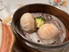 -翡翠小城·海鲜豆捞·广式点心(老佛爷店)