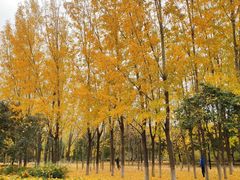 -长安大学(北校区)