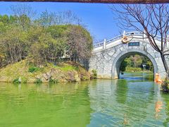 -八大山人梅湖景区