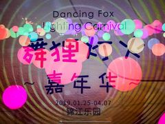 -锦江乐园舞狸花花游园会(夜场专享)