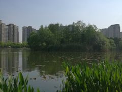 -新江湾城公园