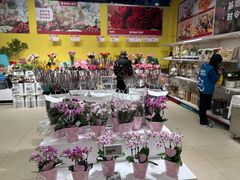 -盒马X会员店(上海森兰商都店)