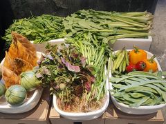 -忆江南·临江鱼馆