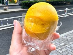 -狮虎桥路