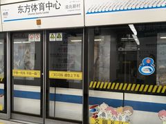 -东方体育中心(地铁站)
