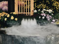 -杭州植物园