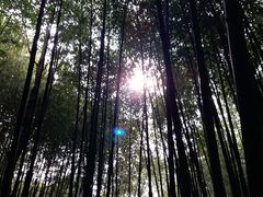 -竹泉村旅游度假区