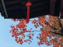 -江心屿景区