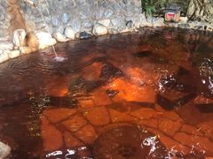 -湖泉半山温泉
