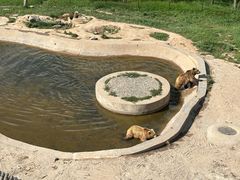 -青藏高原野生动物园