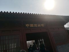 -赵州桥景区