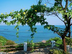 -灵山岛风景区