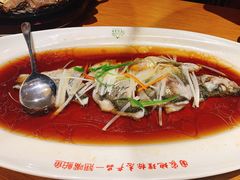 -丹江渔村(望京店)