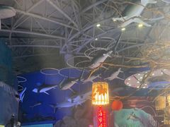 -烟台海昌鲸鲨海洋公园