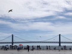 -星海湾跨海大桥