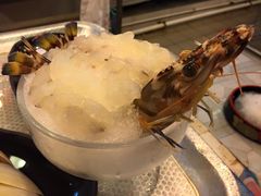 -鲜入围煮花胶鸡海鲜火锅