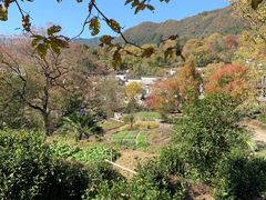 -塔川景区