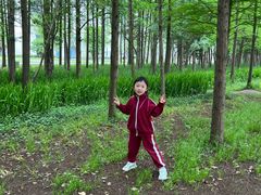 -上海长兴岛郊野公园