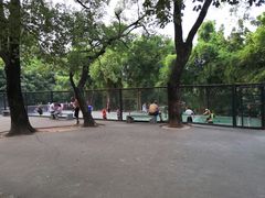 -晓港公园