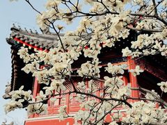 -西海子公园