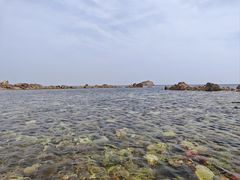 -养马岛旅游度假区