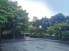 -仙岳公园