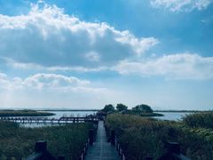 -苏州太湖湖滨国家湿地公园