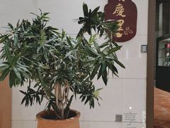 -龙悦湾酒家·八阵鱼生·渔人码头店