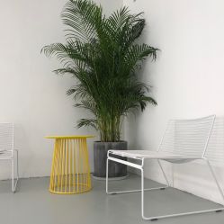点击看大图 -T8 SALON