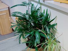 -100家灵感仓库·DIY团建(什刹海店)