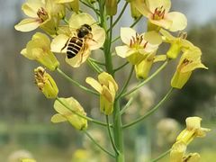-广富林郊野公园