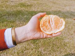 -八大山人梅湖景区