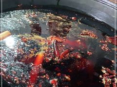 -星鸿社重庆老火锅