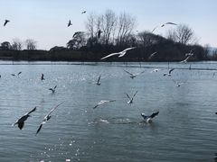 -渤公岛生态公园