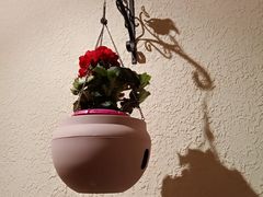 -东方明珠老上海8号餐厅(东方明珠广播电视塔店)