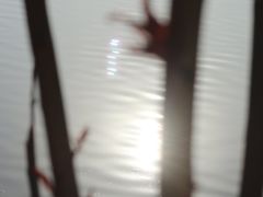-重庆彩云湖湿地公园