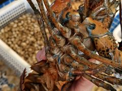 -碧海银沙海鲜餐厅(恒大海上威尼斯店)