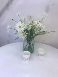 -成都苗方清颜专业祛痘