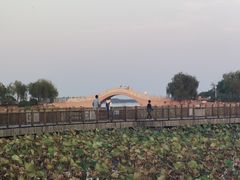 -天津东丽湖风景区