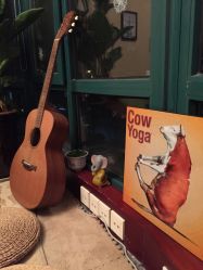 -Union瑜伽健康管理中心