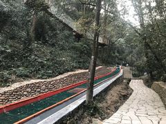 -衢州大荫山丛林飞越探险乐园