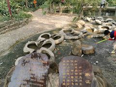 -成都市活水公园